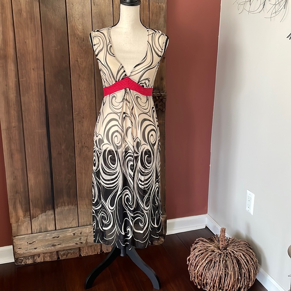 Sheer Ombré swirl Dress